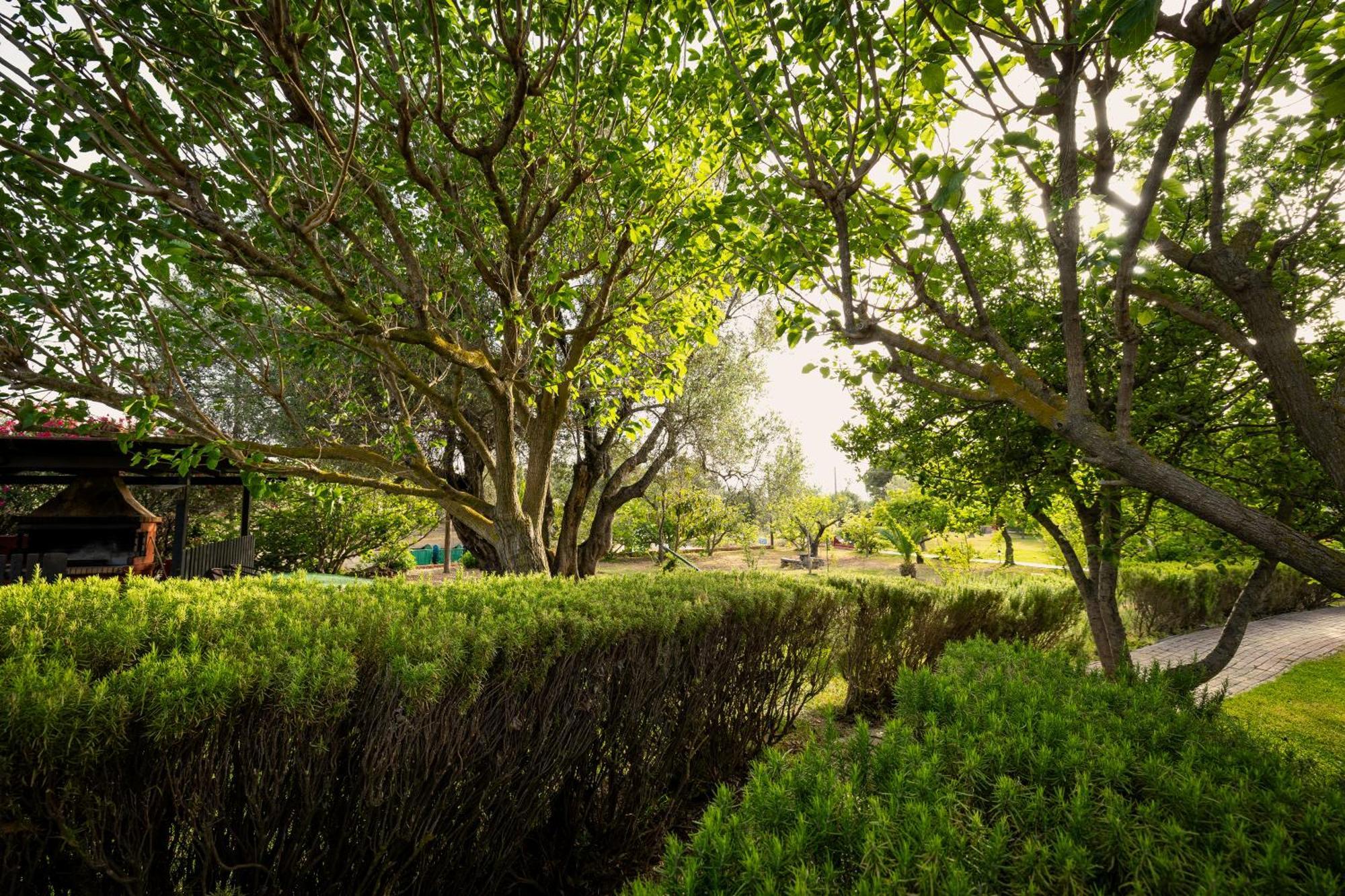 Villehardouin Farm Estate, Studios & Apartments, Minia, Kefalonia 阿尔戈斯托利翁 外观 照片