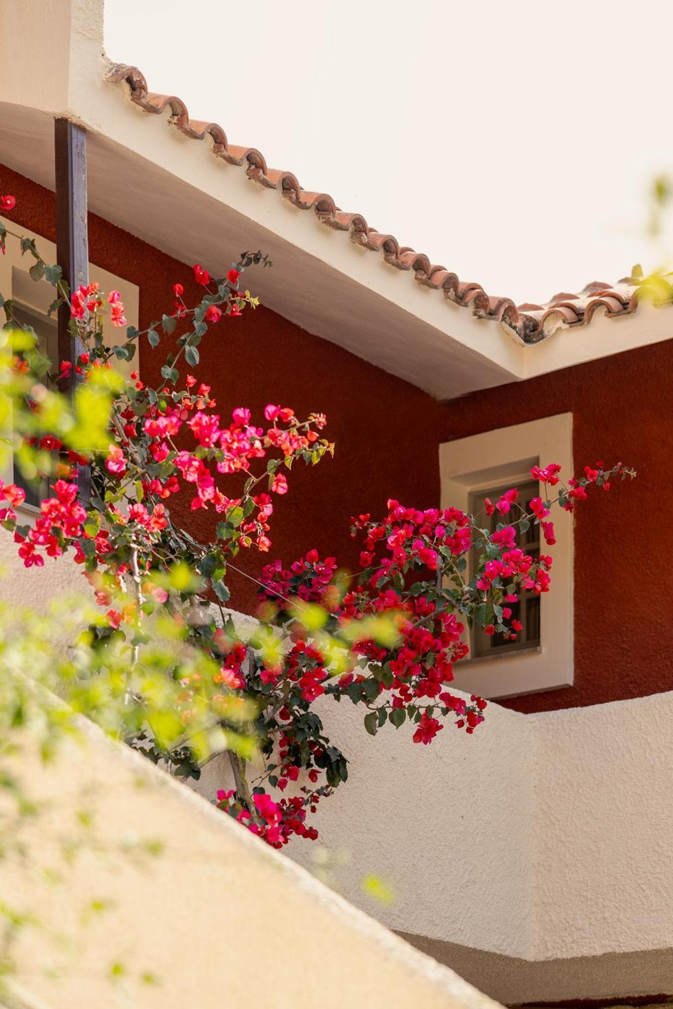 Villehardouin Farm Estate, Studios & Apartments, Minia, Kefalonia 阿尔戈斯托利翁 外观 照片